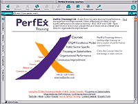 Perfex web site