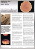 pdf newsletter